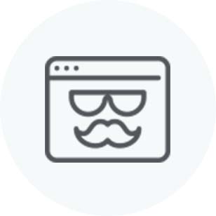 Identity theft icon