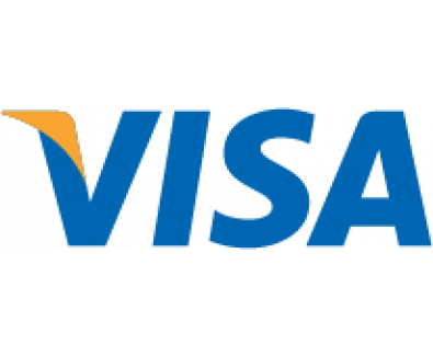Visa Logo