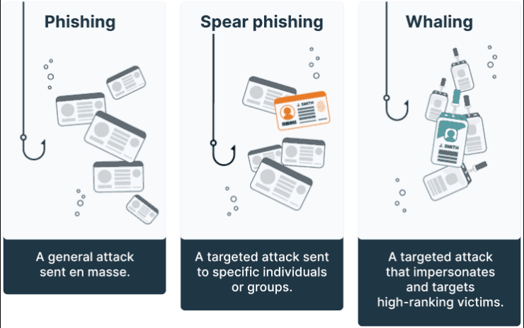 Phishing infographic